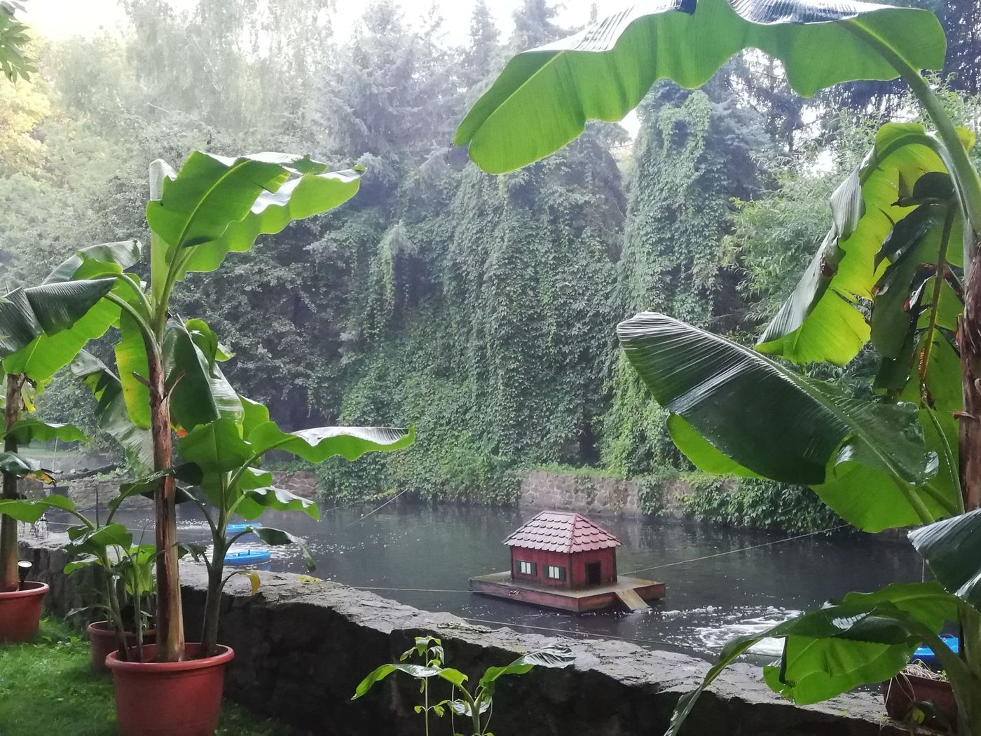 Die Forellenteiche der Forellenanlage Schmidt